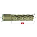 Jádrový vrták do kovu Gold Line Weldon délka 55 mm