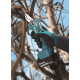 MAKITA DUP181Z Aku nůžky na vinnou révu Li-ion LXT 18V, bez aku Z