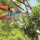 MAKITA DUC258Z Aku řetězová pila 250 mm Li-ion LXT 18V,bez aku Z